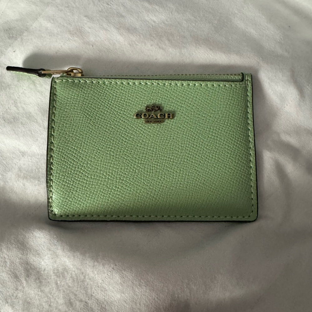 Coach mini skinny